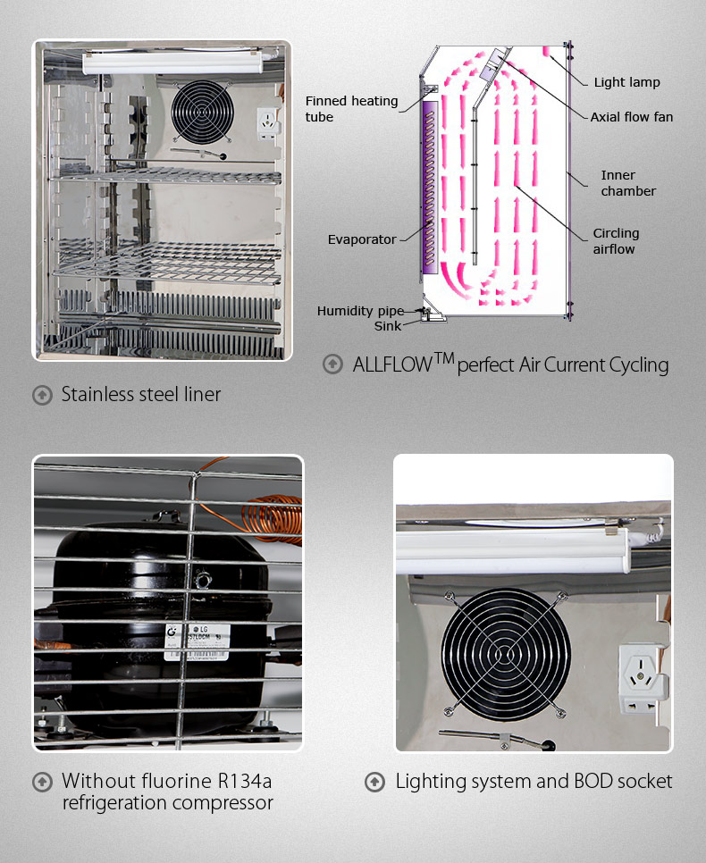 (Mold) Incubator (1)